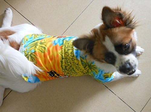 Tangpan Hawaiian Beach Coconut Tree Print Dog Shirt Summer Camp Polo Shirt Clothes Pet Puppy (Yellow, L)