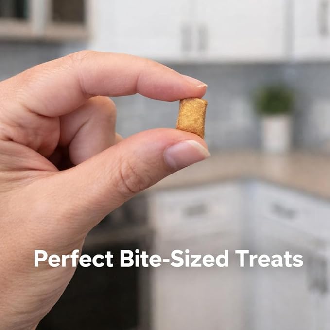 Catnip Cat Treats Crunchy Soft Filled Center Bites - Training Treats for Indoor Cats Kittens - Low Calorie Cat Snacks No Artificial Flavors Made in USA - 9 oz (Packaging May Vary)
