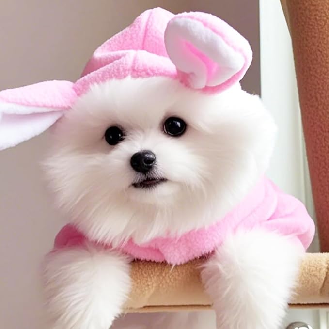 ANIAC Bunny Ears Cat Costume Plush Dog Hoodies with Pocket Sweater Cute Kitten Cat Clothes Warm Rabbit Ears Outfit with Hood for Small Dog Cat and Puppy (Pink-2, Small)