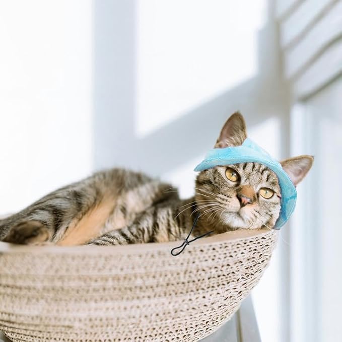 Pet Hat with Ear Holes Sunscreen Cap, Adjustable String Dog Cat Summer Sun Hat,Cat Dog Bucket Hat for Birthday Party Costume Decoration Outdoor Hiking (Green, Large)