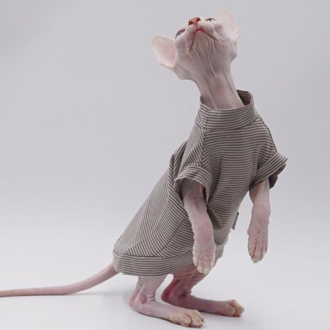 Cotton Sphynx Cat Clothes Spring and Summer Thin High Elasticity Devon Rex, Konish Clothes Hairless Cat Clothes Cat Apparel for Small Cats and Dogs (Grey, X-Large)