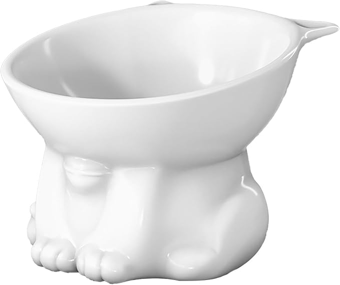 Elevated Cat Food Bowl, Raised and Tilted Water Bowl, Anti Vomiting and Protect Pets' Spines Dishes for Small Dog, Fat Faced Cat, Kitten (White)