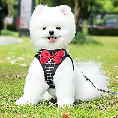 Cat Harness and Leash Escape Proof,Breathable Dog Harness,Cats Harness Escape Proof,Pet Harness,Adjustable Mesh Vest Harness for Puppy Cat Rabbit (Black, M)
