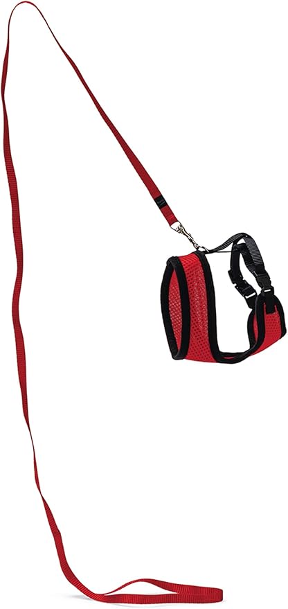 Flamingo Harms Kitten Set of Harness Red/Black, 110 cm x 10 mm