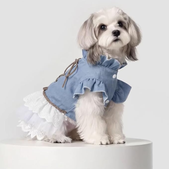 Dog Denim Dress for Small Dogs and Cats, Flared Sleeves Retro Cake Skirt Puppy Clothes, Elegant Pet Apparel for Daily Wear, Parties, Photo Shoots (Blue-Denim, Large)