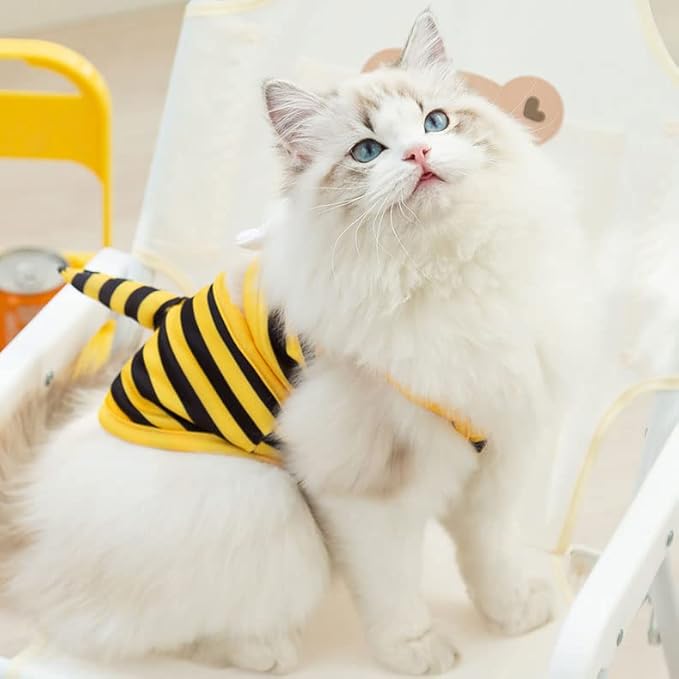 Funny Dog Swimwear Bikini Summer Dog Clothes Beach Swimsuit Puppy Bathing Suit Puppy Vest Cooling Pet Shirt for Small Dogs, Cat Apparel (XX-Large, Yellow Bee)
