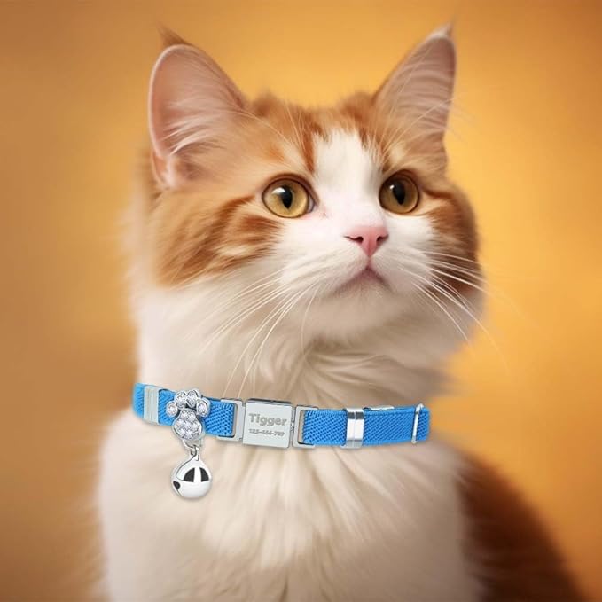 Personalized Safety Elastic Cat Collars with Bell,Laser Customized Stretch Kitten Collars for Girls Boys Cats-Sky Blue