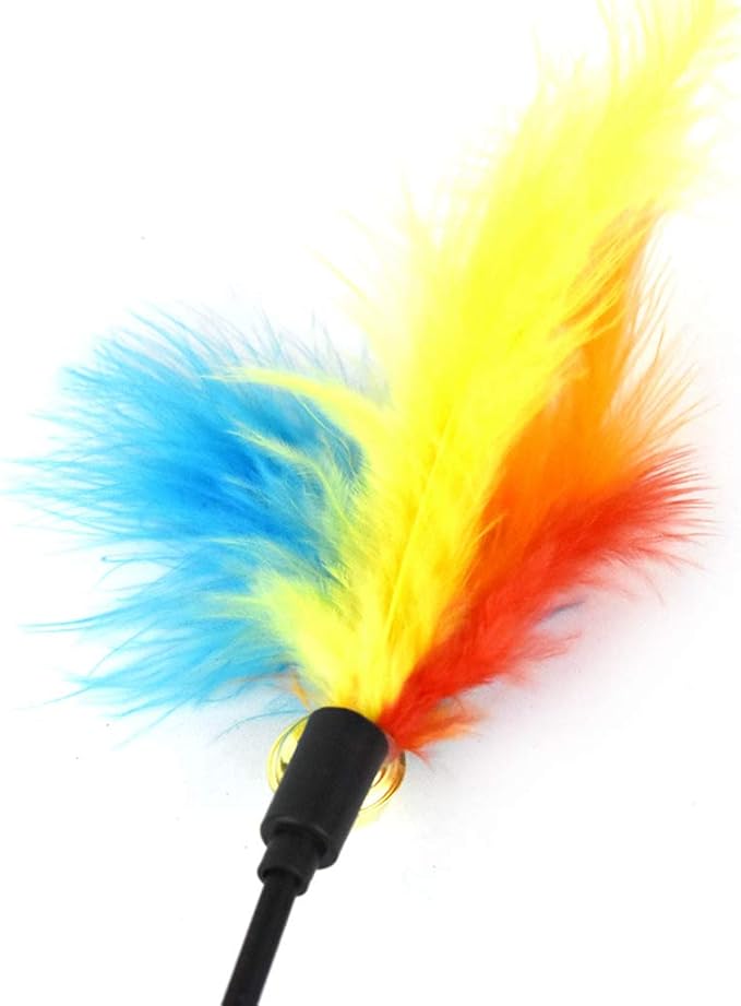 Cat Toys, Cat Toy Wand with Bells Cats Interactive Teaser Toy Teaser Wand for Cats Kittens