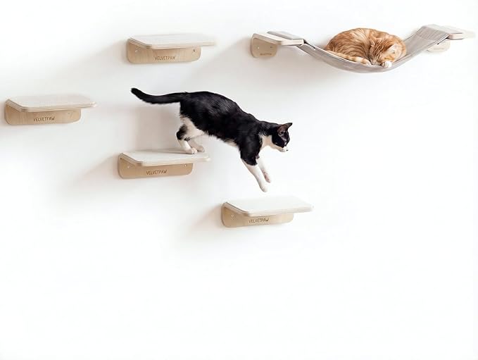 VELVETPAW 5PCS Cat Wall Shelves Cat Wall Furniture with Bed and 4 Steps, Climbing Shelf Wall Mount for Indoor Outdoor Cats, Wall-Mounted Furniture for Kittens