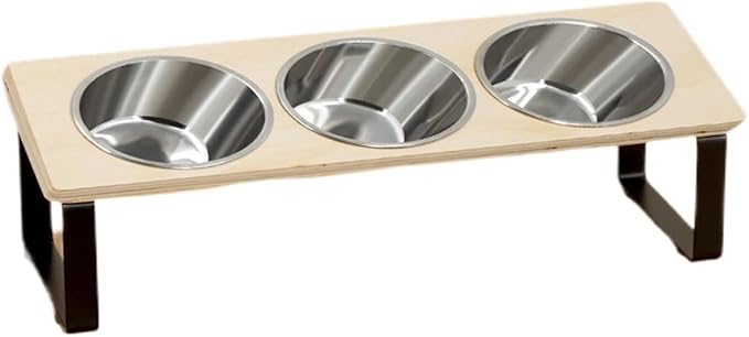 Stainless Steel Bowls Elevated Cat Feeder 15° Tilted Raised Feeding & Watering Supplies Pet