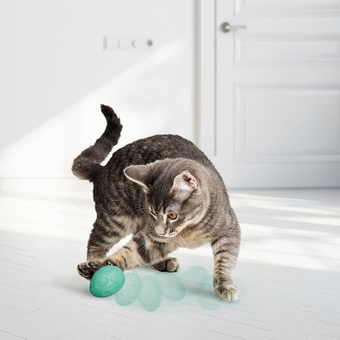 KONG Infused Catnip Egg Spring/Easter Cat Toy – Wobbling & Rolling Catnip-Infused Toy for Engaging Play | Durable for Solo & Multi-Cat Fun