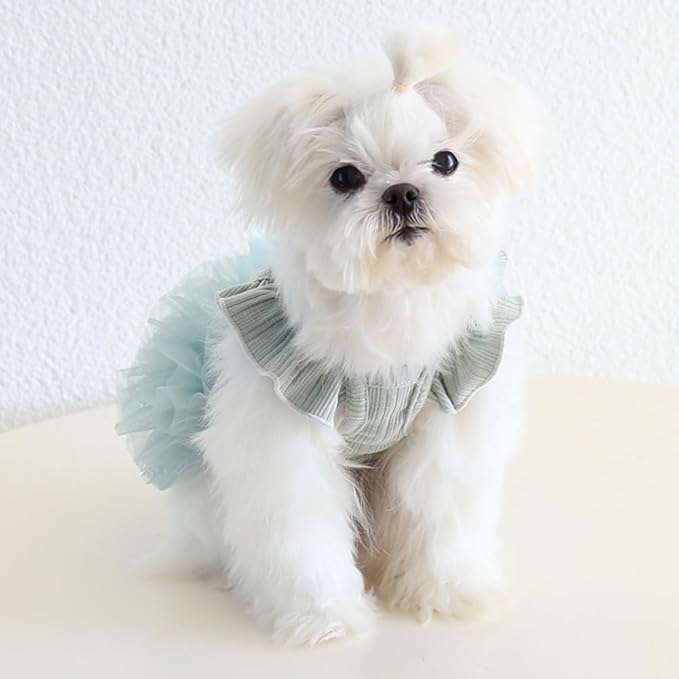 Hdwk&Hped Small Dog Dress Breathable Summer Dog Dress for Puppy Cats Girl Female Tutu Cake Skirt Princess Dress for Birthday Party Costume (Tutu Skirt - Cyan, Large)