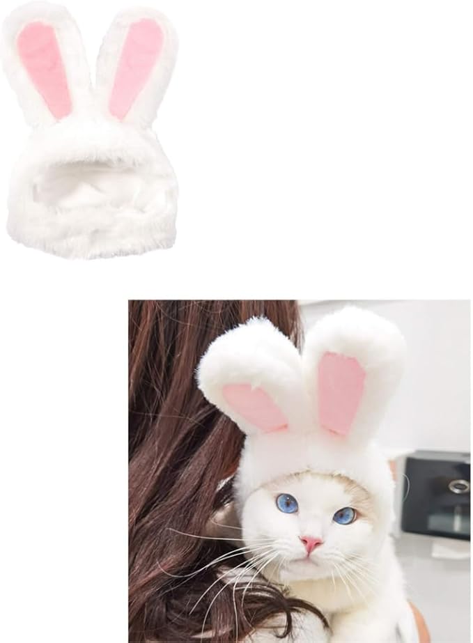 5 Pcs Halloween Cat Hat Cat Costume Pumpkin Cat Hats Bat Cosplay Hats,Dress Up Halloween Easter Costume Adjustable Accessory Headwear (Sunflower,Lion,Bunny,Frog,Panda Bear)