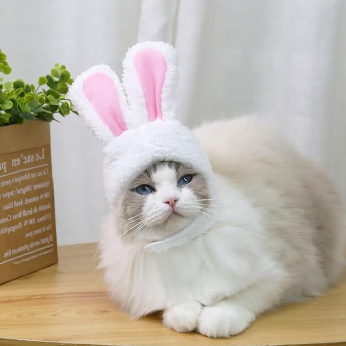Halloween Cat Hat Bunny Rabbit Hat with Ears for Cats & Small Dogs,Easter Pet Accessory Headwear