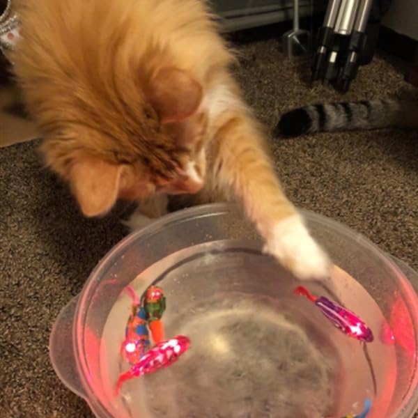 Swimming Fish Toy for Cats,Glowing Waterproof Cat Water Toy with Adjustable Speed and Realistic Motion,Twist Tail in a Lifelike Manner,Fun for Bathtub, Aquarium Decor, Pool (4)