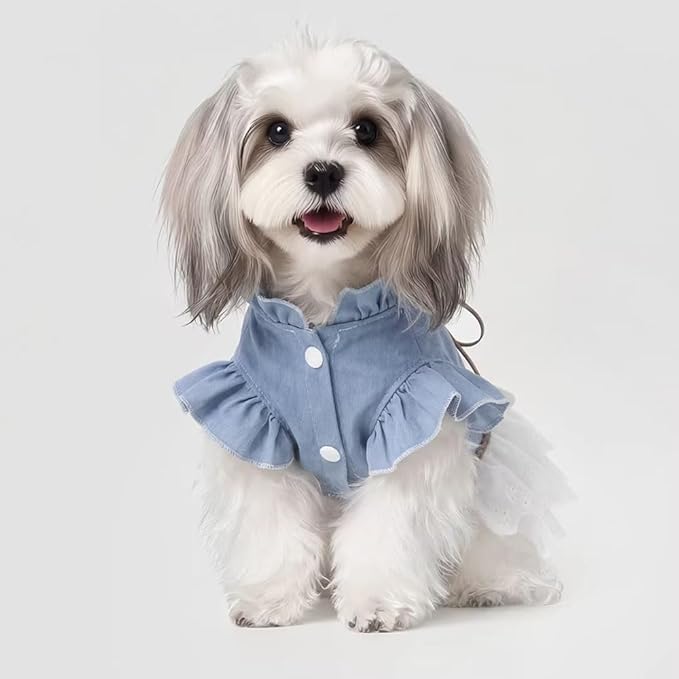 Dog Denim Dress for Small Dogs and Cats, Flared Sleeves Retro Cake Skirt Puppy Clothes, Elegant Pet Apparel for Daily Wear, Parties, Photo Shoots (Blue-Denim, Small)