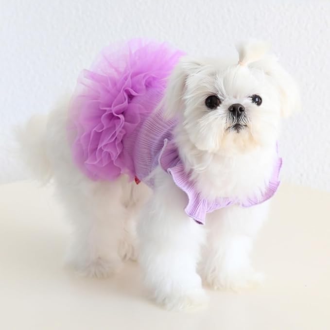 Hdwk&Hped Small Dog Dress Breathable Summer Dog Dress for Puppy Cats Girl Female Tutu Cake Skirt Princess Dress for Birthday Party Costume (Tutu Skirt - Purple, Large)