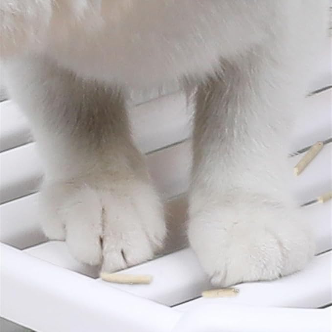 Pet Supplies, Enclosed Top-Entry Cat Litter Box with Lid & Scoop, Large Anti-Splash Drawer Design