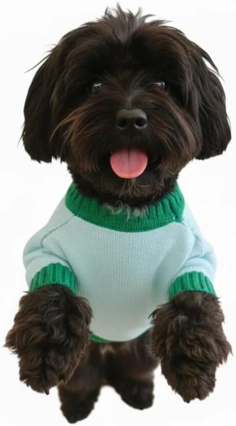Winter Pet Knit Sweater - Light Blue with Red Fruit Print, Cozy Dog Cat Clothing, XS/S/M/L/XL Sizes (Large)