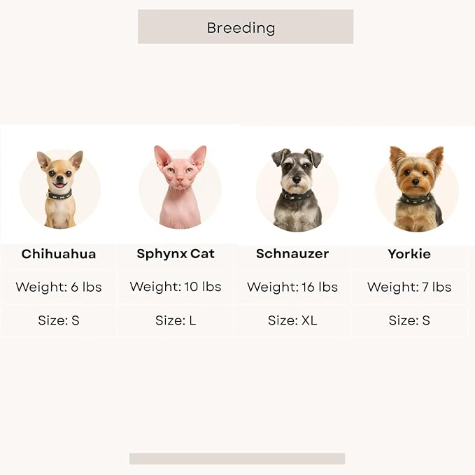 White Shirt for Dogs and Cats– Dog Button Down, White Collared Dog Outfit, Shirts for Small Dogs Puppy Clothes, Suitable for Yorkies Chihuahuab Sphynx Cat (Small 3.4-5.5lbs)