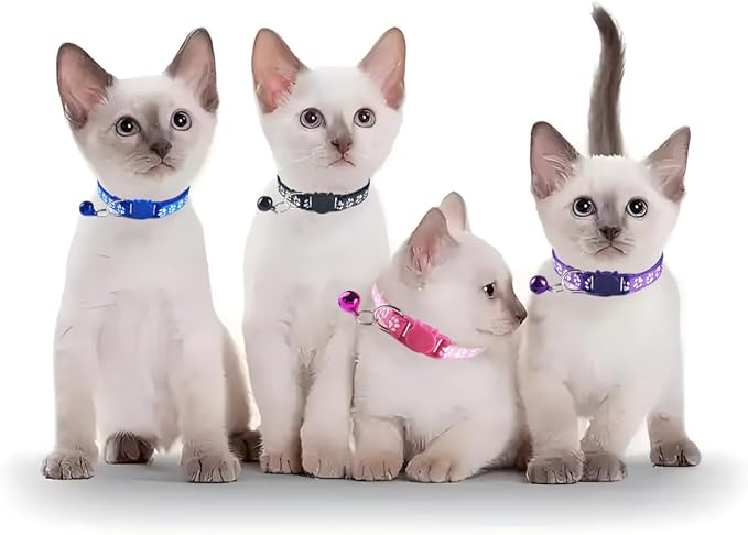 Breakaway Kitten Collar with Bells, 2 Pack Light Blue Break Away Cat Collar with Bells, Cat Collar for Boy Cats Kitty