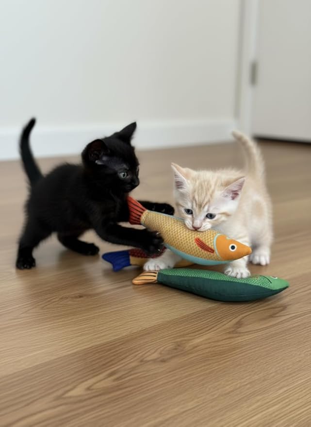 Cat Toy Saury Fish, 3-Pack (Green, Yellow, Orange), Catnip & Bell Sound, Soft & Durable, Interactive Kitten Toy for Indoor Cat Exercise, 8.7 Inches, Suitable for All Cat Breeds