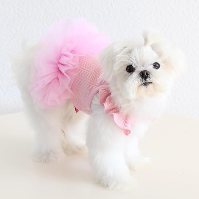 Hdwk&Hped Small Dog Dress Breathable Summer Dog Dress for Puppy Cats Girl Female Tutu Cake Skirt Princess Dress for Birthday Party Costume (Tutu Skirt - Pink, X-Large)