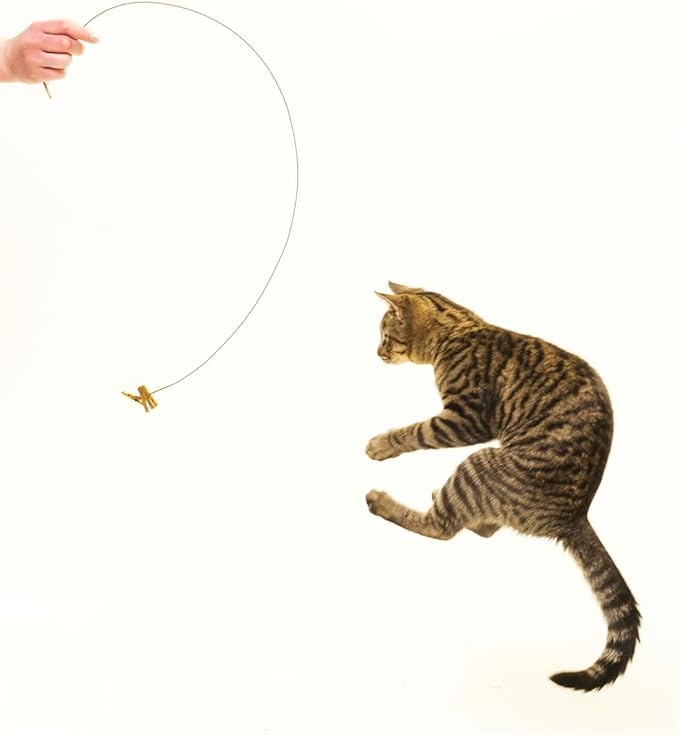Cat Dancer Ringtail Chaser Combo - Fun and Fitness for Playful Cats. Includes One Original Toy, and One Original Cat Chaser.