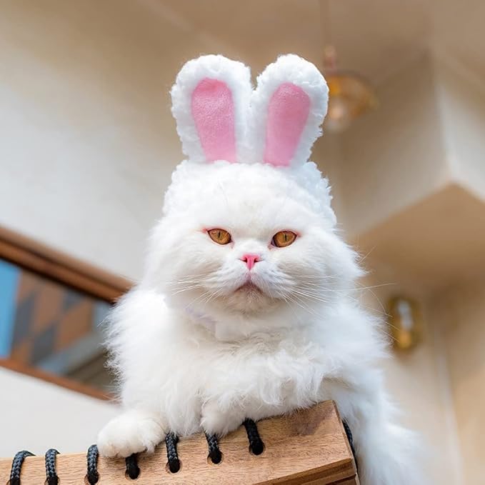 Pet Cute Hat, Cat Adorable Bunny Hat Banana Strawberry Tiger Yellow Duck Drumstick Shaped Hat for Cat Kitten Small Puppy Party Costumes Festival Birthday
