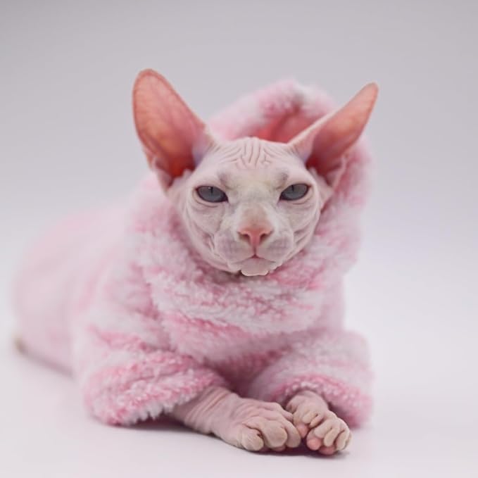 Sphynx Cat Apparel Kitty Clothes Warm Autumn and Winter Hairless Cat Outfits Cat Clothes for Devon Rex Cats, Cornish Cats and Small Cats (Black, X-Small)