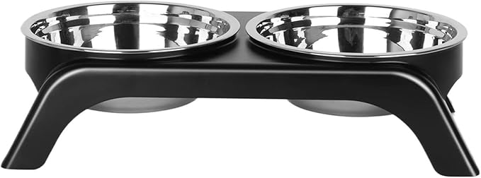 Cat Bowls Stainless Steel Raised Food Water Set for Indoor Cats