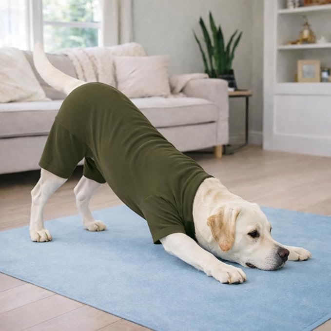 Lovelonglong Dog Full Bodysuit – Stretchy Yoga Fabric 4-Leg Dog Pajamas, Breathable & Lightweight Dog Onesie for Indoor & Outdoor, Shedding Control & Travel Wear
