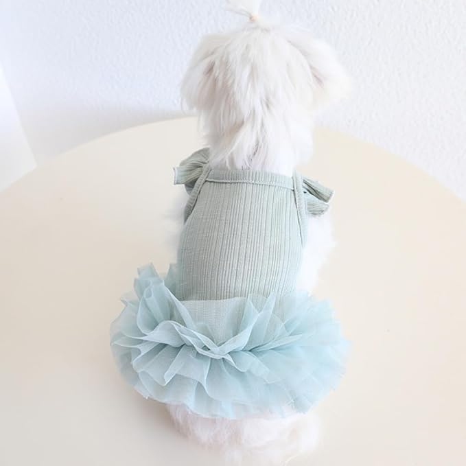 Hdwk&Hped Small Dog Dress Breathable Summer Dog Dress for Puppy Cats Girl Female Tutu Cake Skirt Princess Dress for Birthday Party Costume (Tutu Skirt - Cyan, Large)