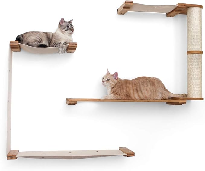 CatastrophiCreations Dakota - Multiple-Level Cat Hammock & Climbing Activity Center Wall-Mounted Cat Tree Shelves, Onyx/Charcoal Gray