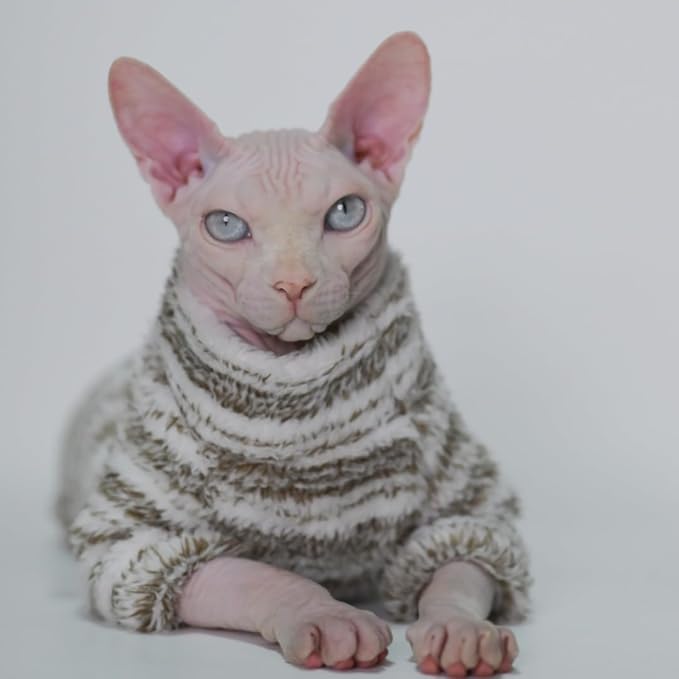 Thick, Warm,Winter Four-Legs Hairless Cat Sweater for Sphynx, Devon Rex, Cornish Rex, Abyssinian, and Small Kitten Breeds, (X-Small)