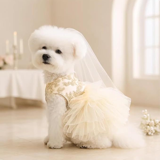 Princess Dog Wedding Dress - Embroidered Gown with Fluffy Tutu Skirt & Leash D-Ring, Formal Party Outfit for Small Dogs & Cats Like Chihuahua Yorkie (White Bow-Princess, X-Large)