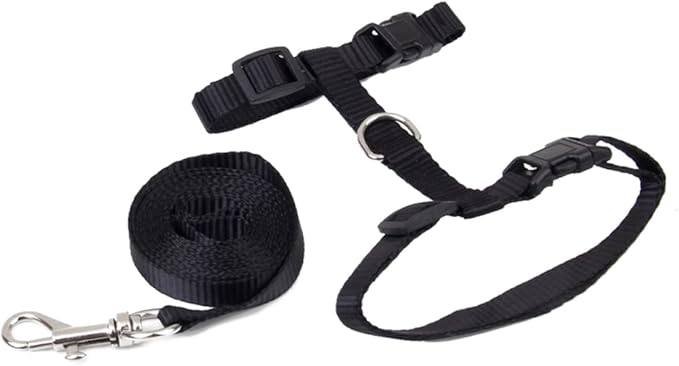 Adjustable Cat Harness and Leash Lightweight Black Collar with Snap Buckle for Secure Walking Shaped Design for Comfortable Fit and Easy Wear