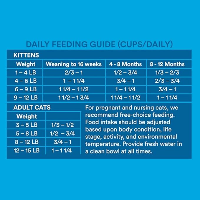 WholeHearted Grain Free Salmon Formula Dry Cat Food 5 lbs.