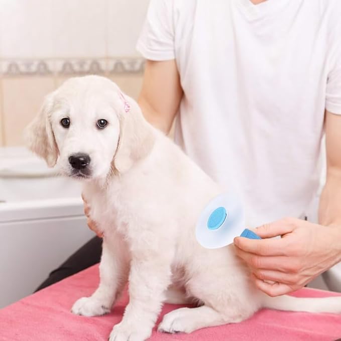 Pet Dog Hair Brush for Shedding Indoor Kitten Comb Grooming And Care Slicker Brush Stainless Steel,Cat Hair Brush for Long Hair Removal,Self Cleaning Rabbit Puppy Dogs Grooming Massaging Tool (Blue)