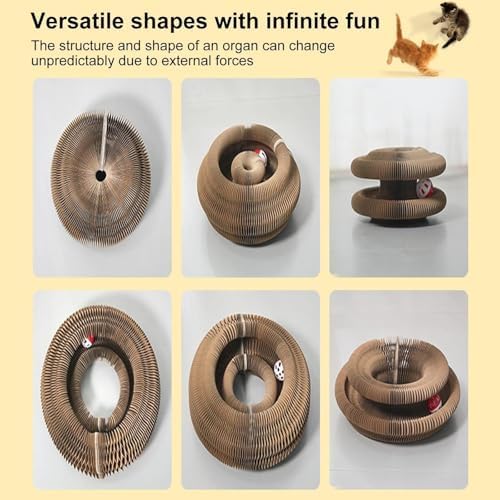 2PCS Kitty Curls Cat Toy,Magic Organ Cat Toy,Cat Scratcher for Grinding Claw Cardboard Cat Toys,Interactive Scratch Pad with Toy Ball