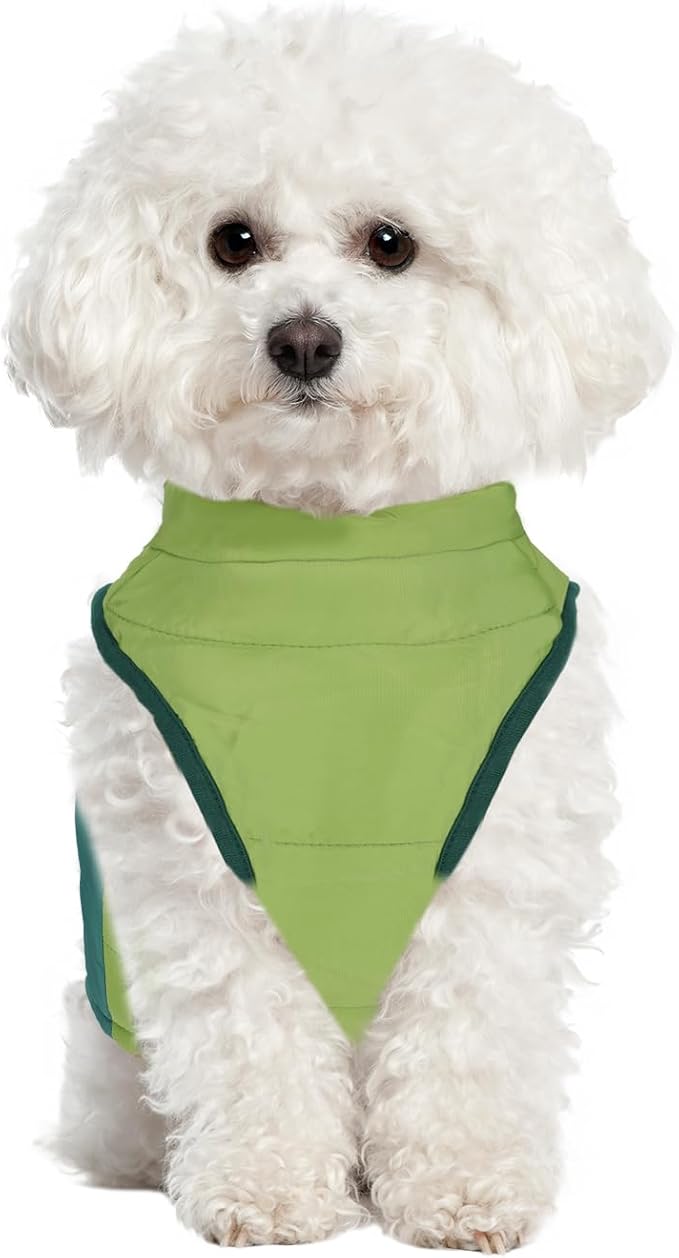 Winter Dog Coat with Leash Ring, Warm Jackets Puppy Cold Weather Coats Pet Clothes Cat Outfits for Small Dogs (Green+Dark Green, Medium)