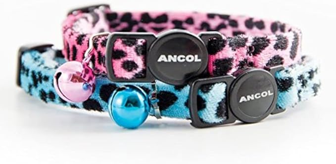 Ancol Safety Cat Collar in Turquoise Leopard Print - Comfortable Pet Accessory with Break Away Buckle - Kitten Training Walking Neckband
