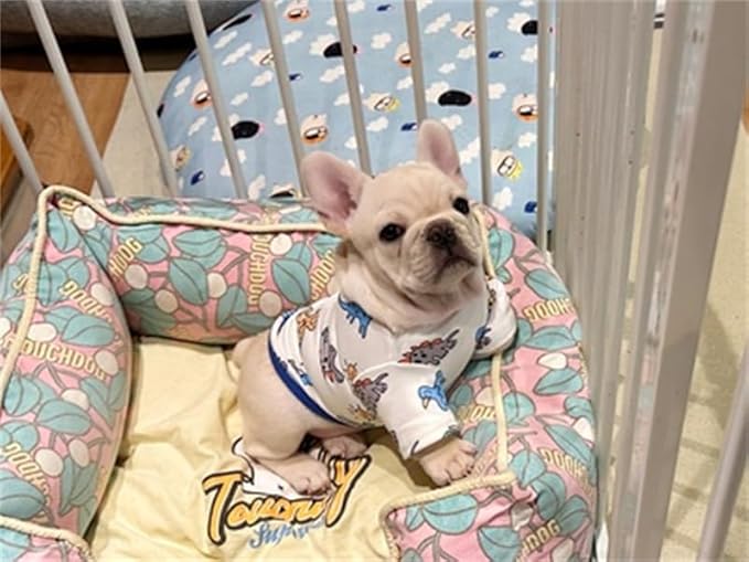 Dino Pet Pajamas Dog Jumpsuit Puppy Clothes, Cotton Pet Pajamas Kitten Soft Material Small Dog Onesie Cat Sweater Puppy Pjs Chihuahua Yorkie Onesie (Dino Shirt, X-Large)