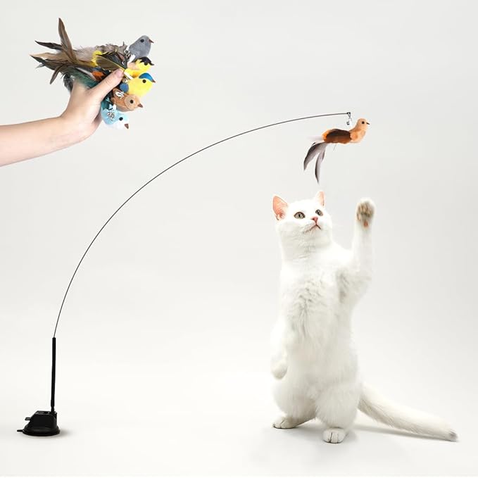 Leo's Paw The Original Interactive Bird Simulation Cat Toy Set Realistic Colorful Feathers Bells Wand Self-Holding Suction Base Stimulating Real-Life Flying Bird Impression Hunting Play (w. 5 Birds)