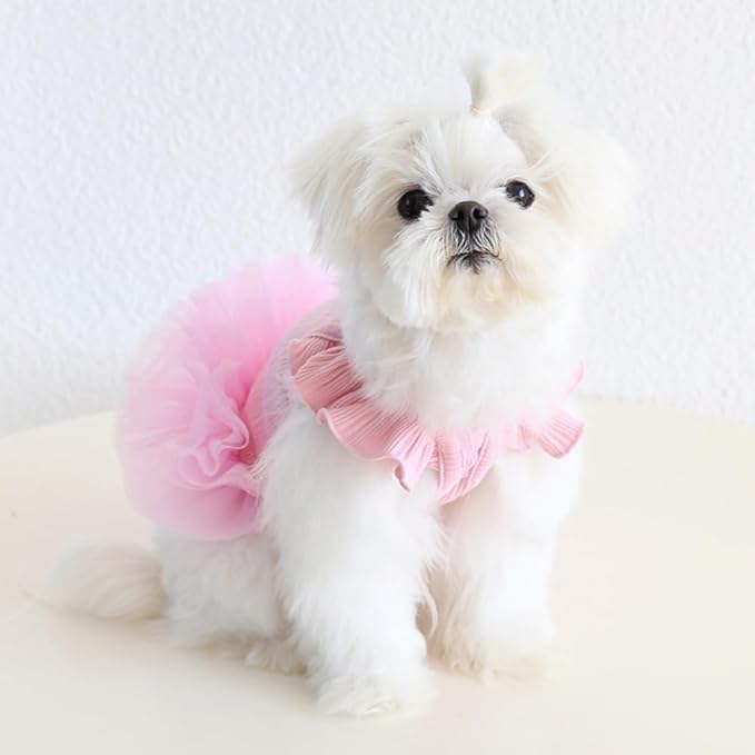 Hdwk&Hped Small Dog Dress Breathable Summer Dog Dress for Puppy Cats Girl Female Tutu Cake Skirt Princess Dress for Birthday Party Costume (Tutu Skirt - Pink, Medium)