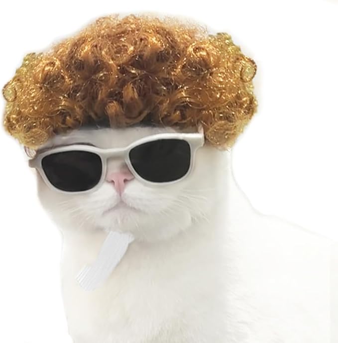 Funny Cat Cosplay Wig, Headwear Apparel Toy, Cat Dress up for Halloween, Christmas, Parties, Festivals(Explosive Yellow)