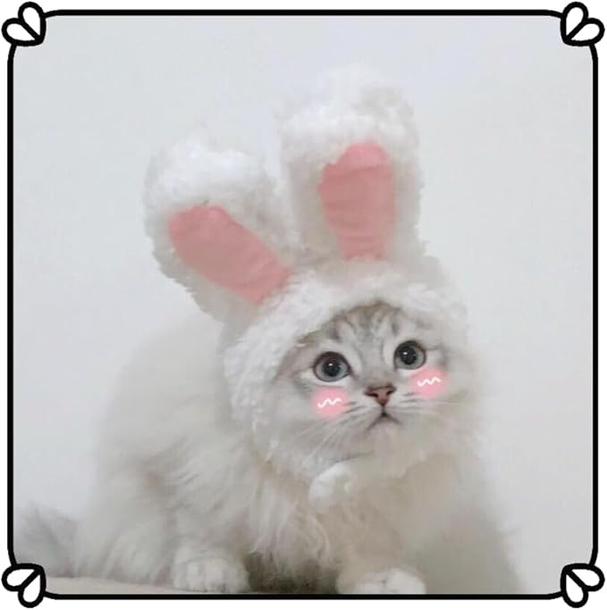 5 Pieces Cat Hat Adorable Cat Costume Outfit Bunny Hat with Ears Funny Mane Hat for Cats and Small Dogs Party Costume Accessory Headwear (Pineapple-Sunflower-Banana-Strawberry-Rabbit)-Not for Children