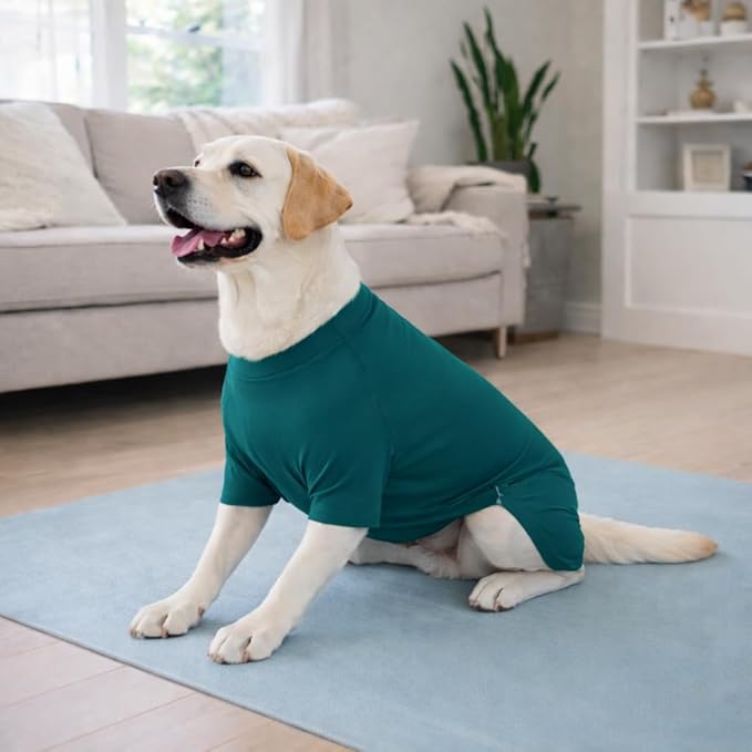 Lovelonglong Dog Full Bodysuit – Stretchy Yoga Fabric 4-Leg Dog Pajamas, Breathable & Lightweight Dog Onesie for Indoor & Outdoor, Shedding Control & Travel Wear