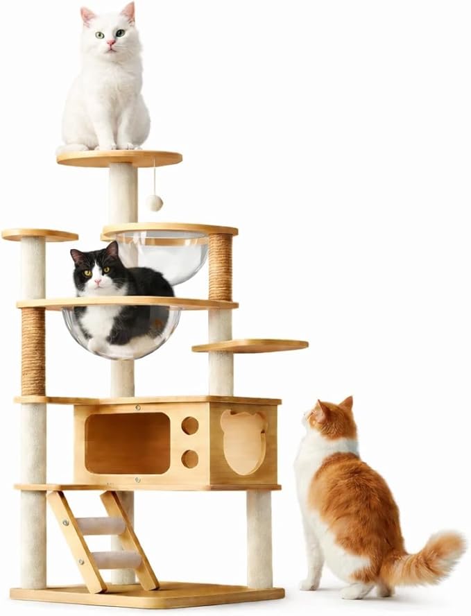 Cat Tree for Indoor Cats, 57" Large Modern Cat Tower with 2 Acrylic Space Capsule Perches, Wooden Cat Condo, Sisal Scratching Posts, Easy-Climb Ladder & Hanging Toys, Cat Activity Tree for Large Cats