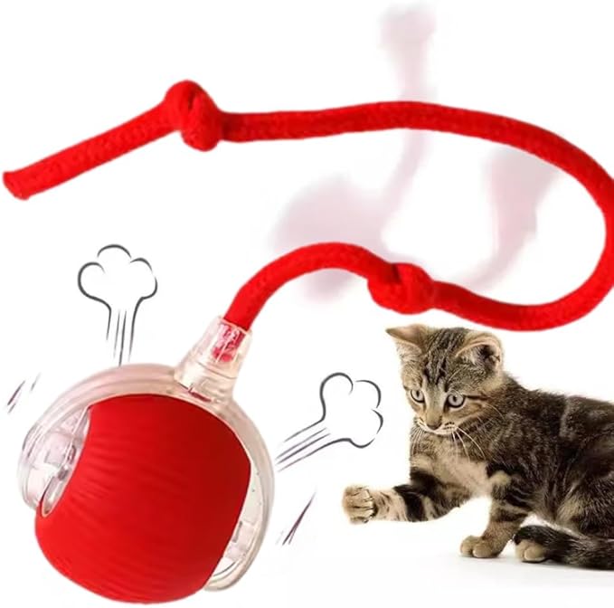 Cat Interactive Ball - Rechargeable, Motion Chase Toy, Self-Moving Kitten Toy for Indoor Playing, Fast on Carpet